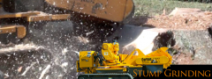 Stump Grinding